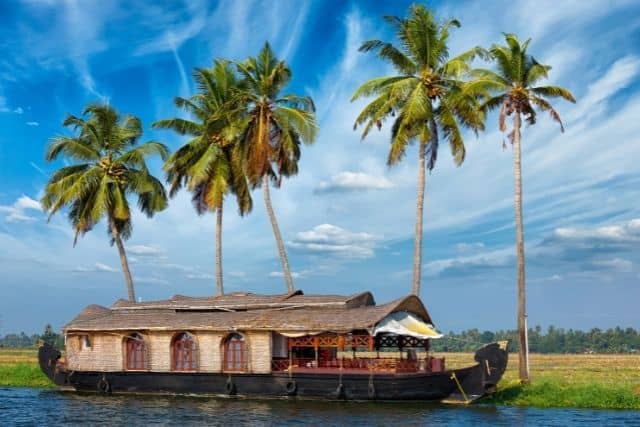 Goa Backwaters Cruisel