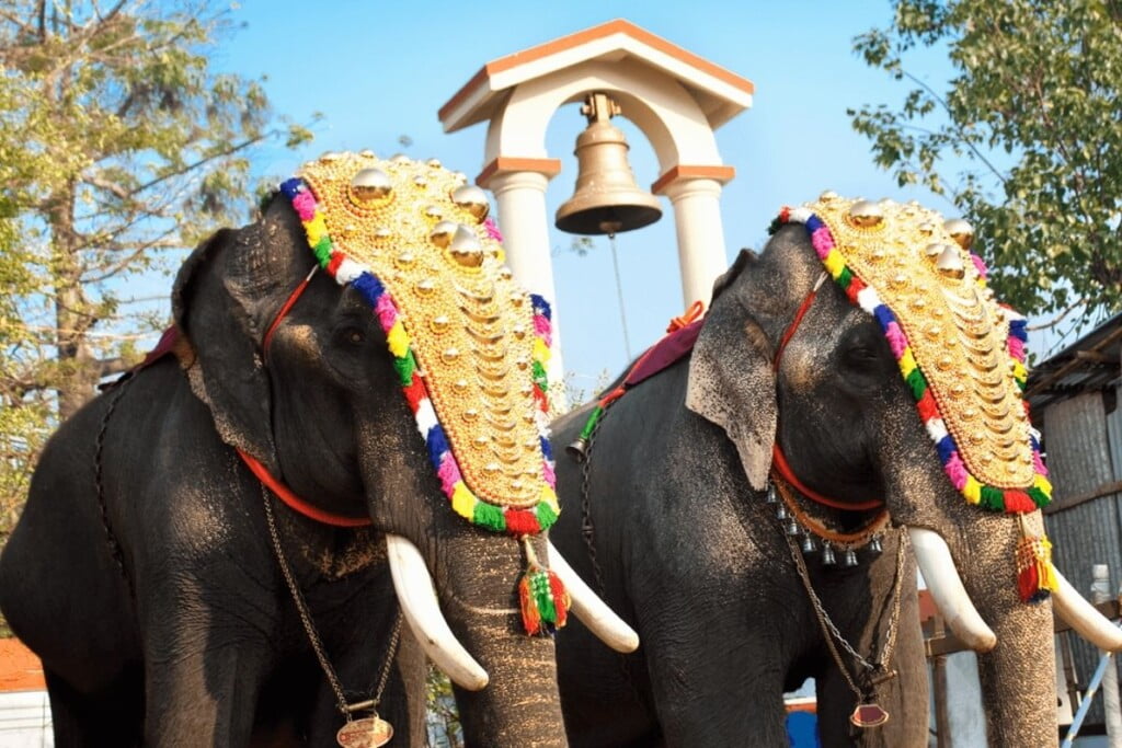 Thrissur Pooram Elephant Festival, Kerala