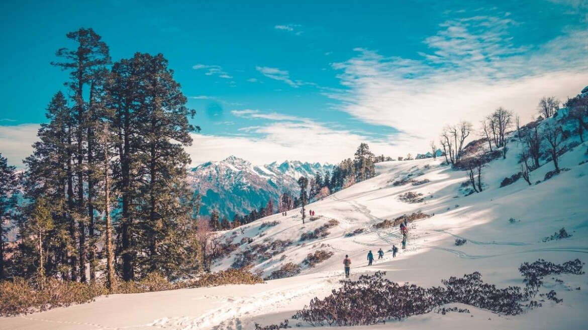 Manali Trip: An Ultimate Travel Guide for Everyone