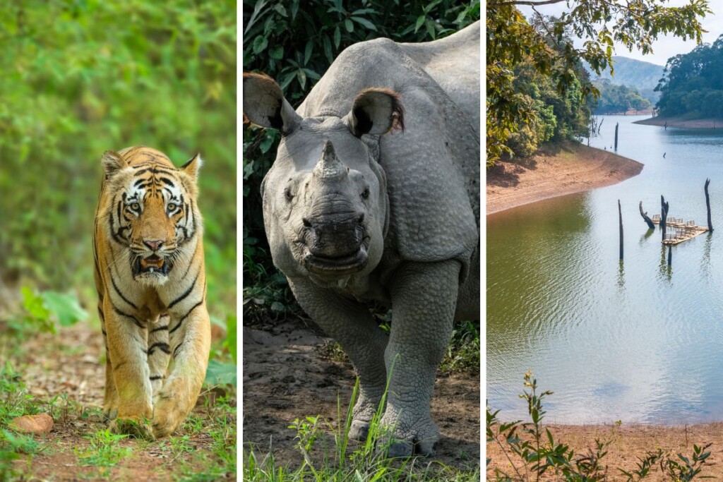Best Wildlife Sanctuaries To Visit In India In June