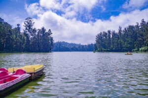Ooty, Tamil Nadu