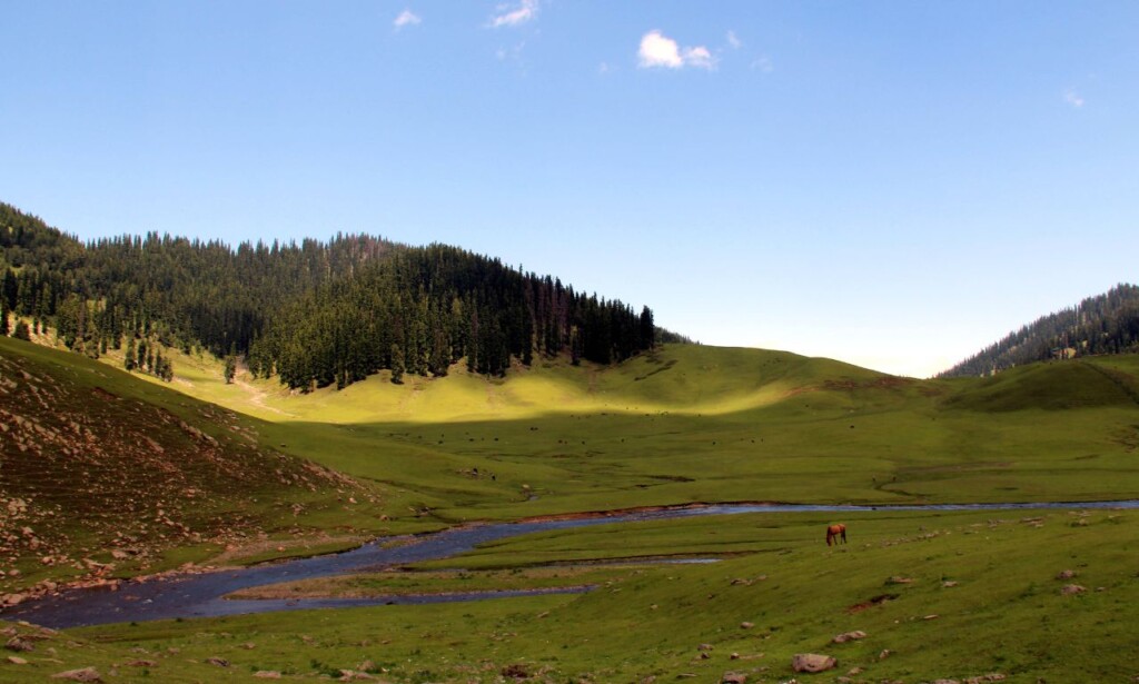 Bangus Valley